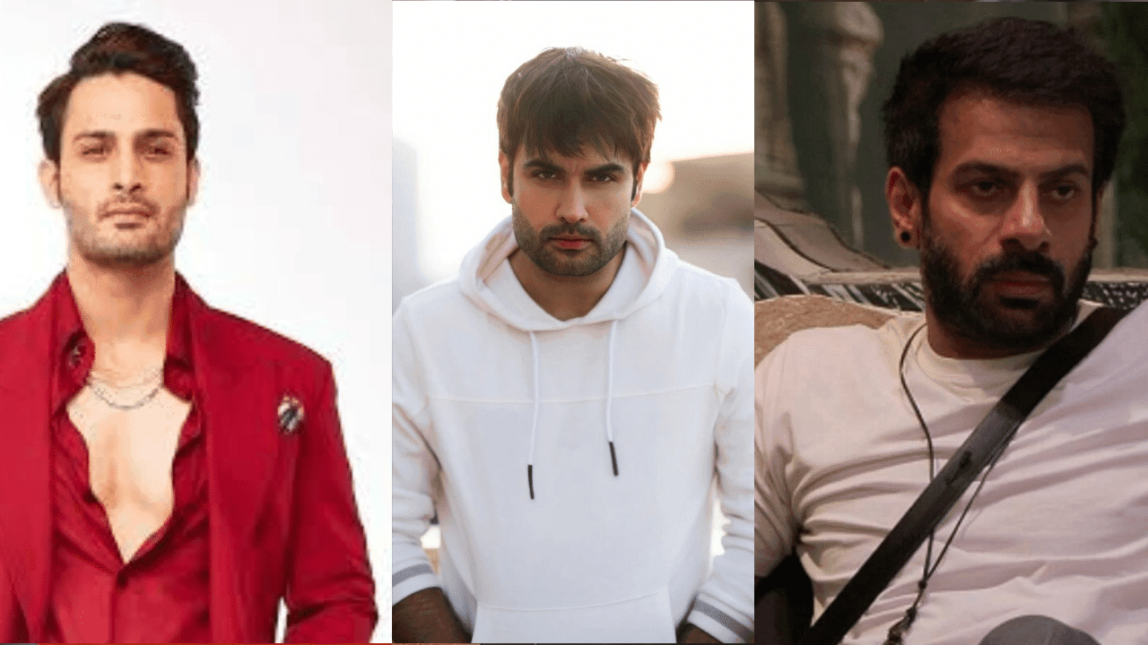 Umar Riaz, Karan Veer Mehra and Vivian Dsena's