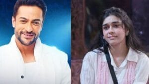 bigg boss 18: Eisha Singh and shalin bhanot