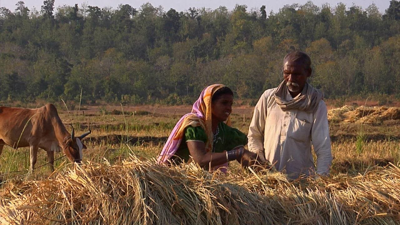 National Farmers' Day 2024