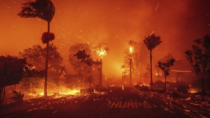 Los Angeles wildfire updates