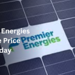 Premier Energies Share Price Live Updates for Today, February 4, 2025: Premier Energies in Focus